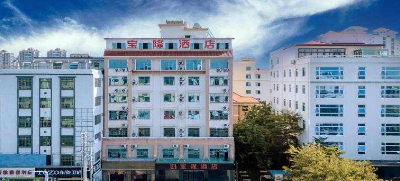 宝隆酒店(东方高铁站店)图片