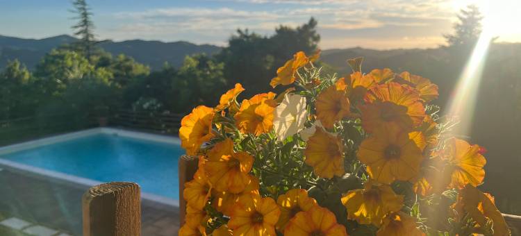 Monte Paradiso Agriturismo图片