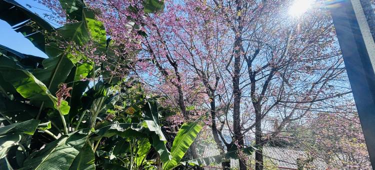 云山民宿(百花岭店)图片