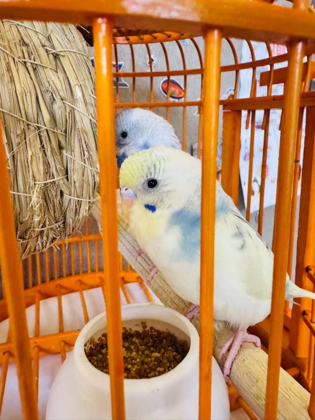 隐栖堂套房酒店(成都春熙路文殊院店)图片