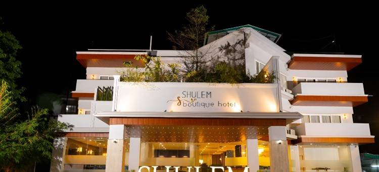 SHULEM精品酒店(SHULEM BOUTIQUE HOTEL)图片