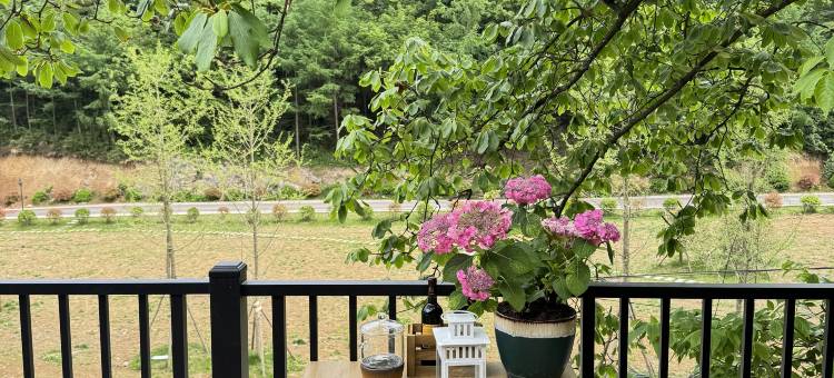 广元坝里·日出云涌·森林庭景民宿(望远山旅游度假区店)图片