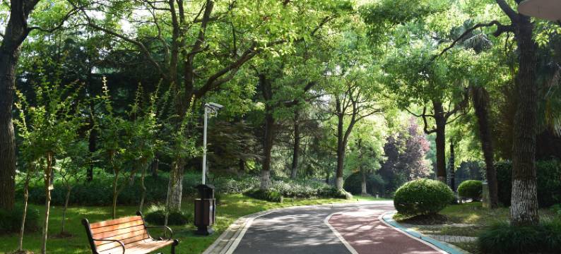 上海小木屋花园度假村图片