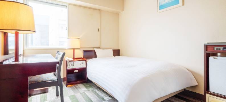 帕科带广中央酒店(HOTEL PACO OBIHIRO CHUO)图片