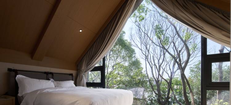 嘉兴开元开森部落图片