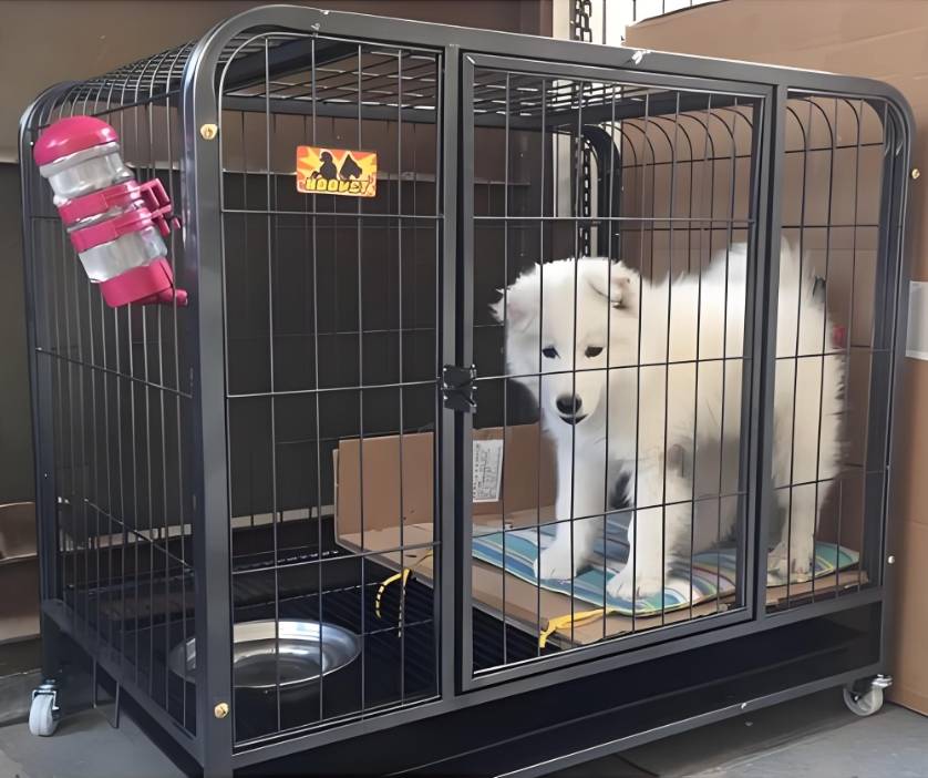 浩枫温德姆酒店(凤凰古城游客中心店)图片