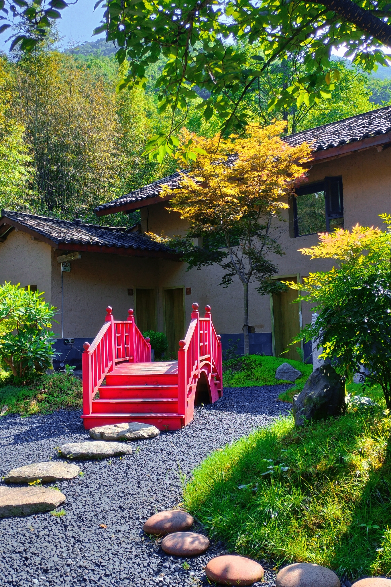 Group 3, Yinchanggou Village, Xichahe Town, Foping County, Shaanxi Province, ChinaOver view
