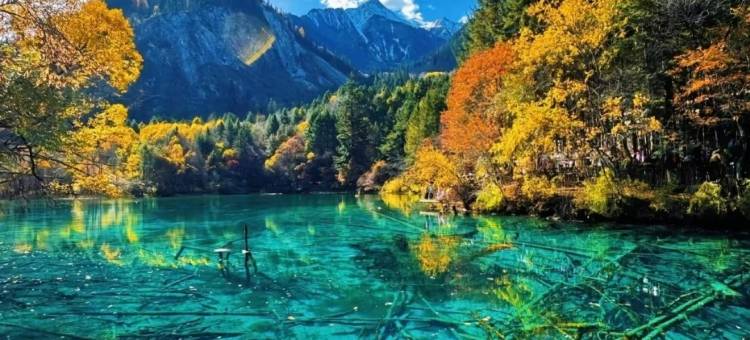 九寨沟悠游仙居MOUNTAIN•FOREST•VIEW•180°青山林海氧吧疗愈酒店图片
