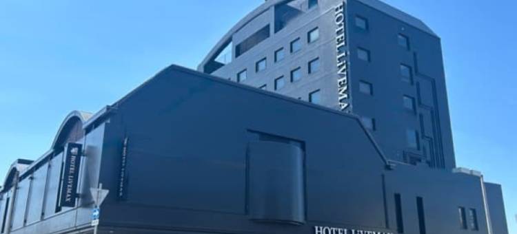 利夫马克斯酒店-丰冈店(HOTEL LiVEMAX Toyooka)图片