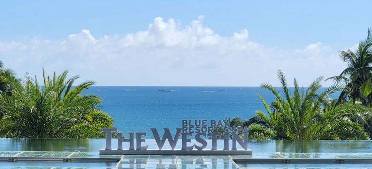 海南蓝湾绿城威斯汀度假酒店图片