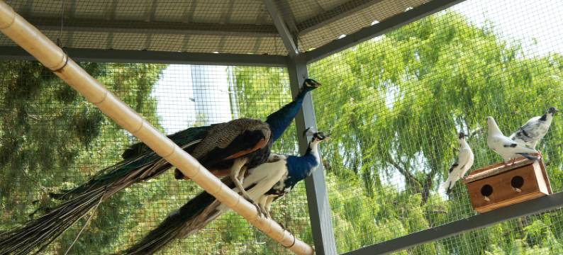 花筑·淄博康昊生态酒店图片