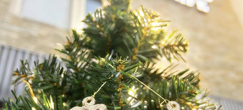 永顺·望海苑海景别墅酒店(鼓浪屿菽庄花园港仔后海滨浴场店)图片