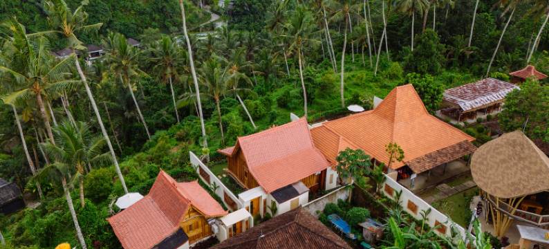 乌布塞纳别墅(Sena Villa Ubud)图片