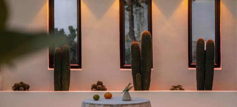 邂逅DaLi·花海阁·黑调设计师美学民宿图片