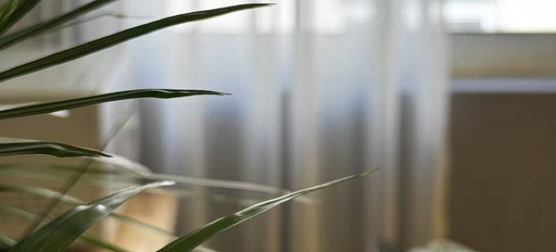 SMART青年旅舍(上海灵岩南路店)图片