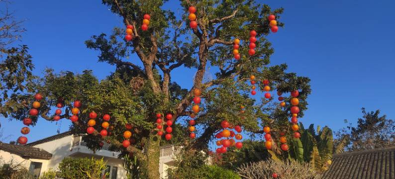 秋长谷里美愿村图片