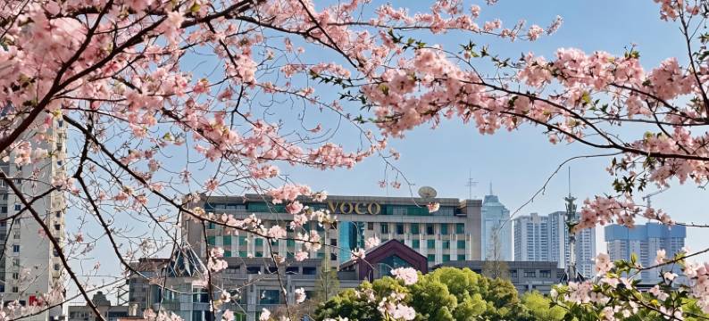 武汉新华voco酒店(万松园美食街店)图片