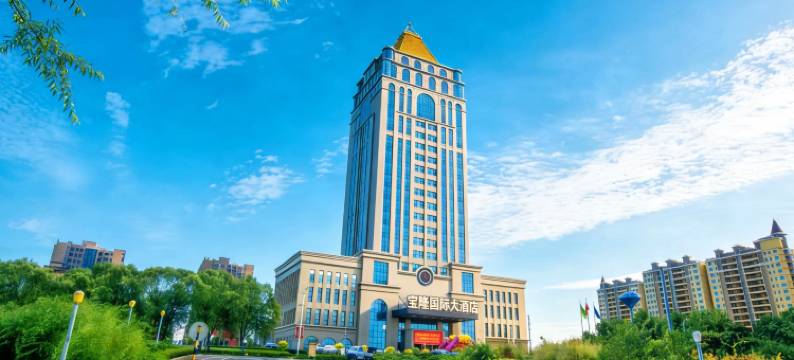 宝隆国际大酒店(刘南宅步行街店)图片