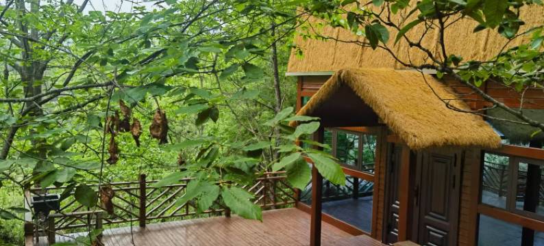 岚皋南山别院图片