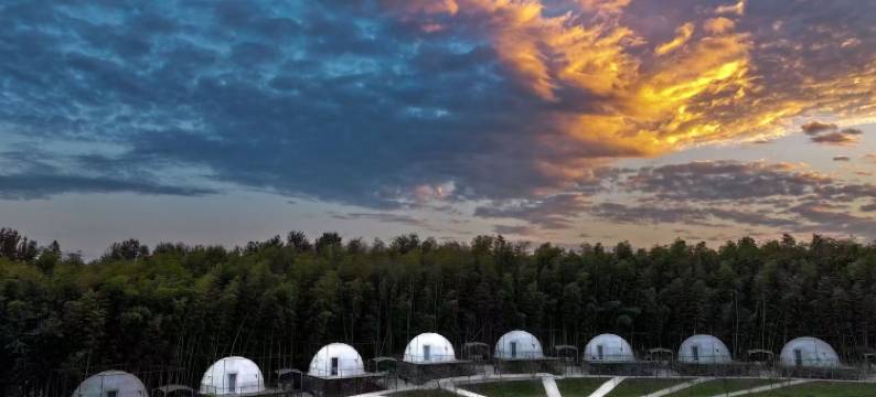 半岛计划SoulH图片