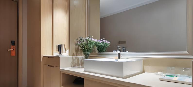 维也纳国际(南京南站南广场店)图片