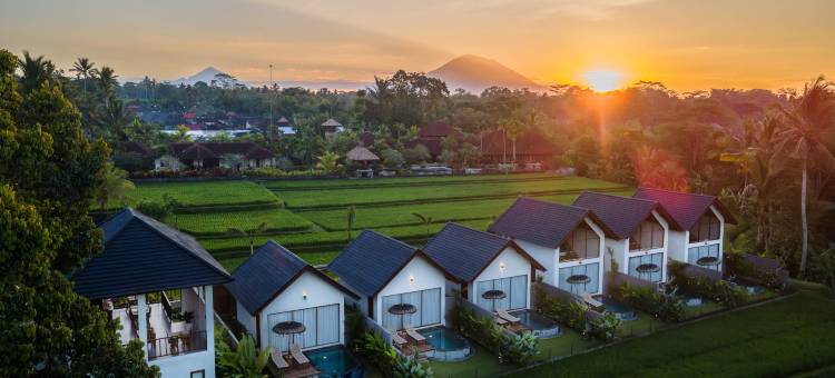 乌布阿斯卡亚(Ascarya Ubud)图片