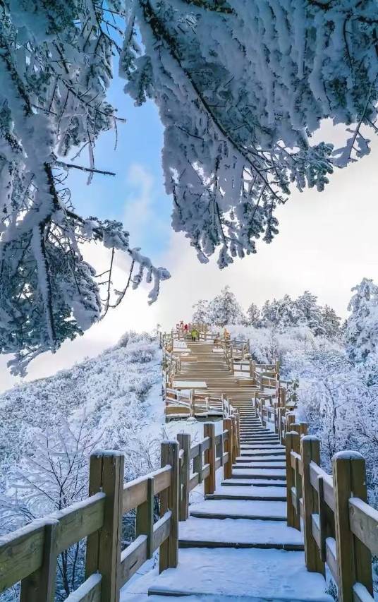 西岭雪山花田月舍民宿(西岭雪山店)图片