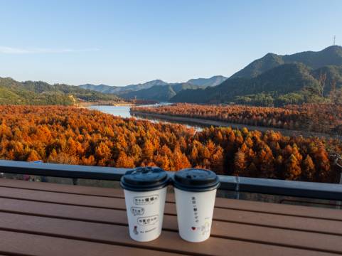 又见杉河·观红杉林全景度假美墅(皖南川藏线店)图片