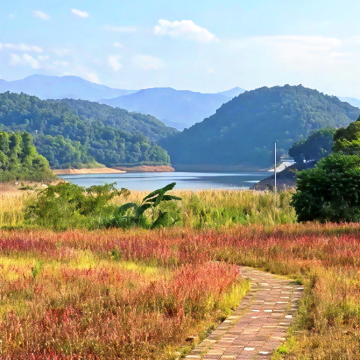 芒市花间栖·太空舱·花海湖景民宿(傣族古镇勐焕大金塔店)图片