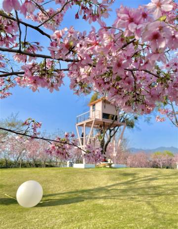 福建鲤鱼洲酒店图片