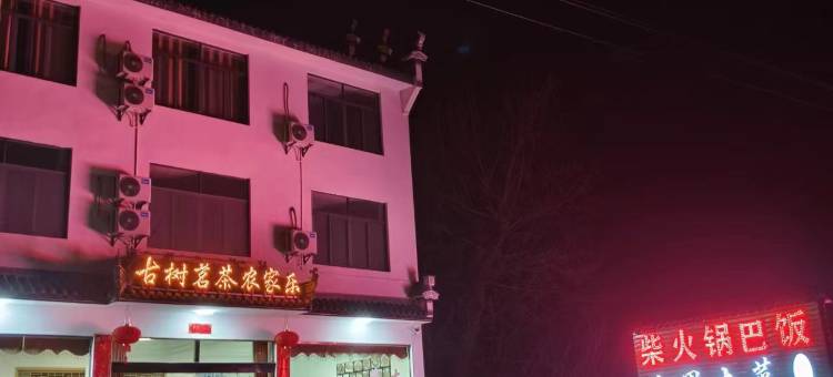 古树茗茶农家乐图片