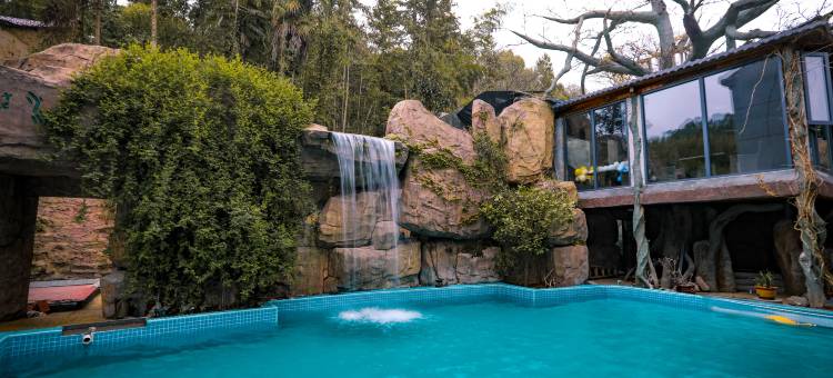 丘山半舍·仙影Courtyard泳池度假美宿(缙云仙都景区店)图片