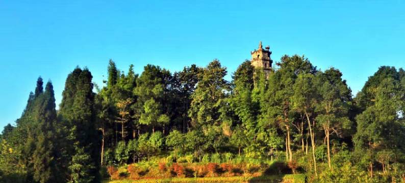 桂东朴宿枫林客栈图片