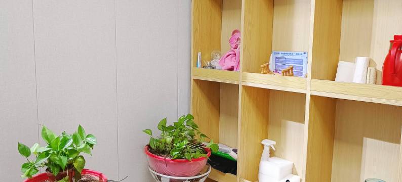 蜂巢公寓(金钟街地铁站店)图片