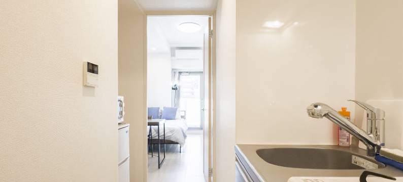 一游浅草民宿 #302(louse stage ichiyu Asakusa #302)图片