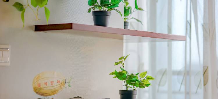 青桐公寓(成都文殊院地铁站店)图片