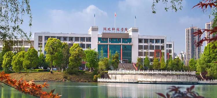 七喜城市酒店(咸宁时代广场科技学院店)图片