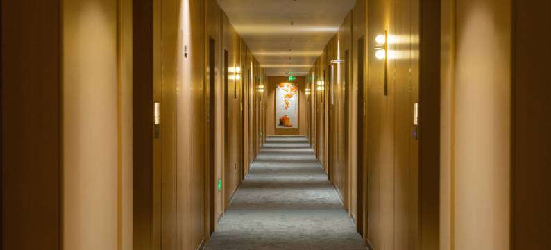 夜泊蘭亭·轻居酒店(夫子庙地铁站秦淮河风光带店)图片