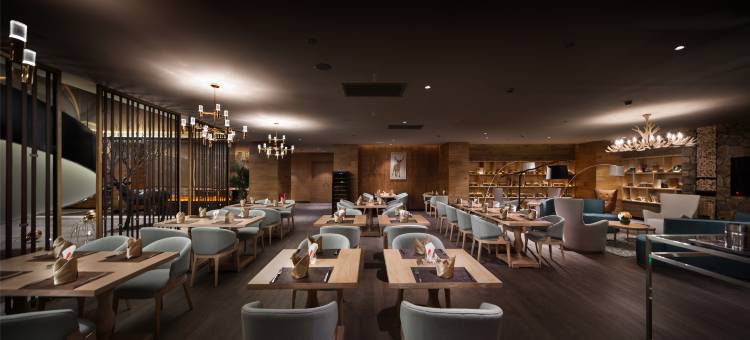穗和瑞斯丽酒店(广州白云国际机场T3航站楼人和地铁站店)图片