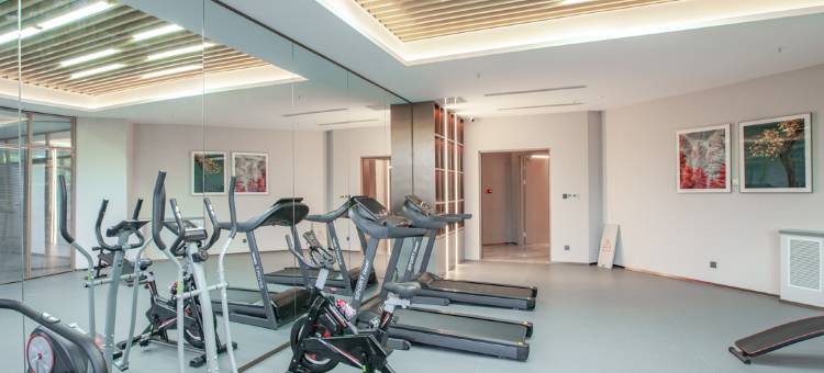 麗枫酒店(阿克苏机场新疆理工学院店)图片