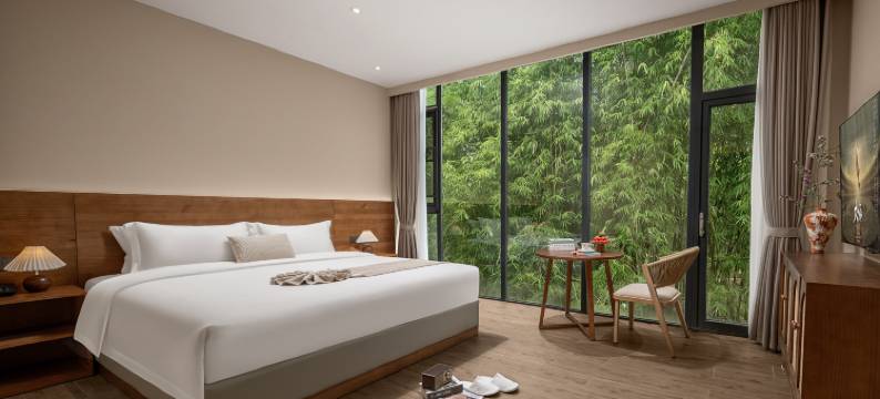 天府逸云大酒店(成都天府国际机场店)图片