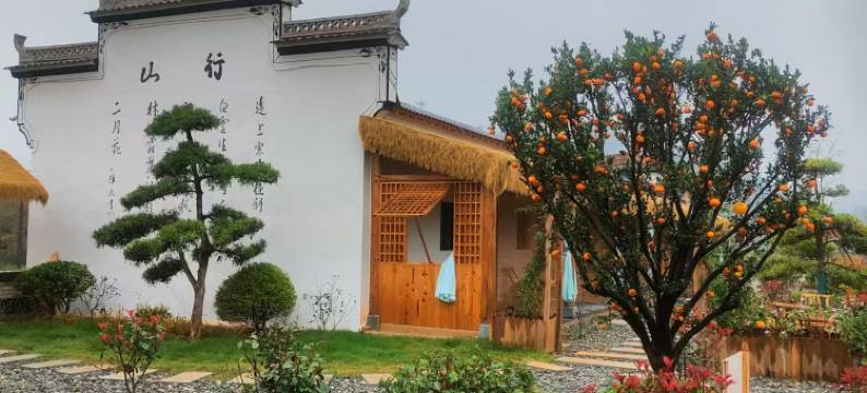 婺源茶园小院图片