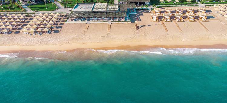 帕洛玛奥伦达(Paloma Orenda)图片