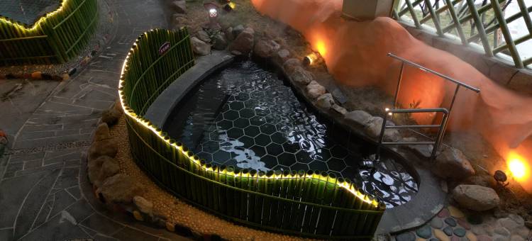 龙湾温泉酒店(宜春温汤店)图片