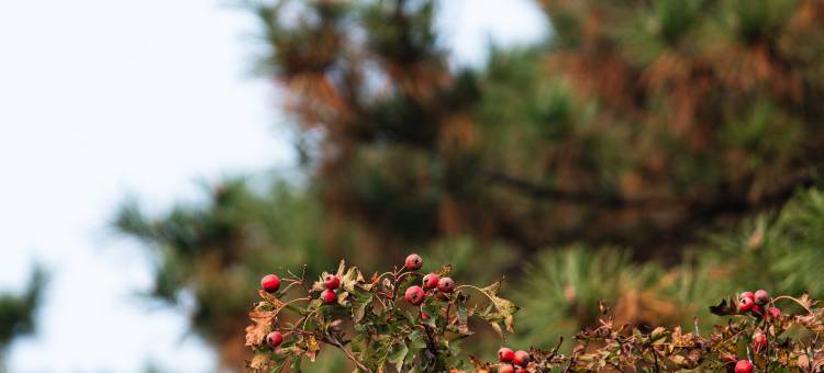 永定山水居·翠屏湖酒店图片