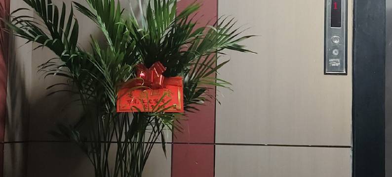 沅江三阳智慧酒店图片