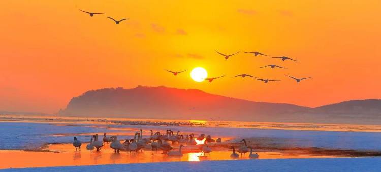 悦夏民宿(钻石沙滩洲际假日广场店)图片