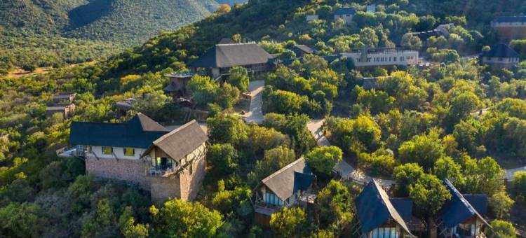 Qwabi私人游戏保护区的Babohi(Babohi at Qwabi Private Game Reserve by Newmark)图片