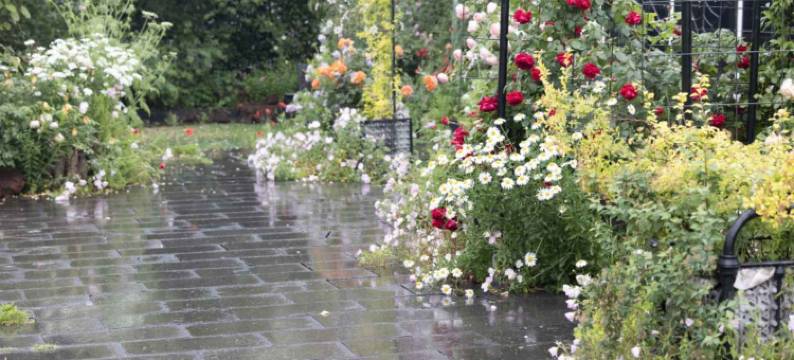 上海朴园酒店图片