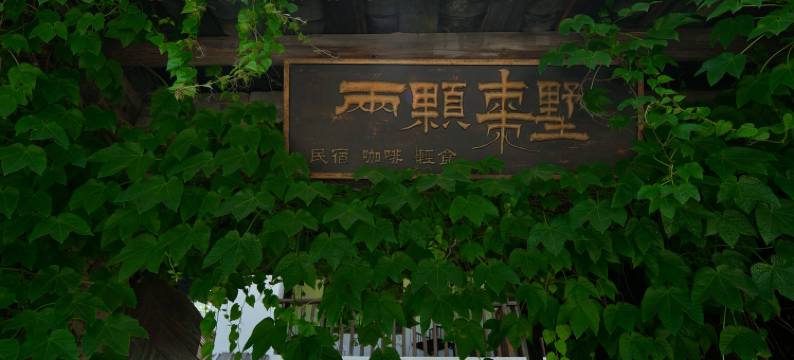 景德镇两颗枣墅民宿(三宝国际陶艺村店)图片